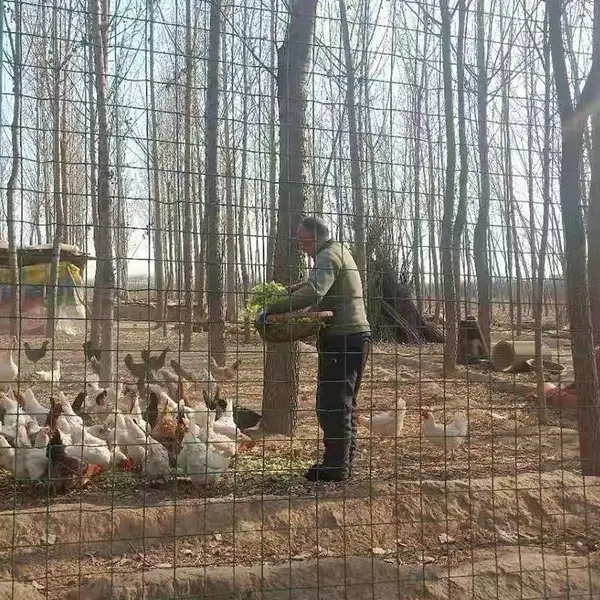 草绿色浸塑铁丝网 山林野鸡养殖网 矿山山体铺挂人造树叶网