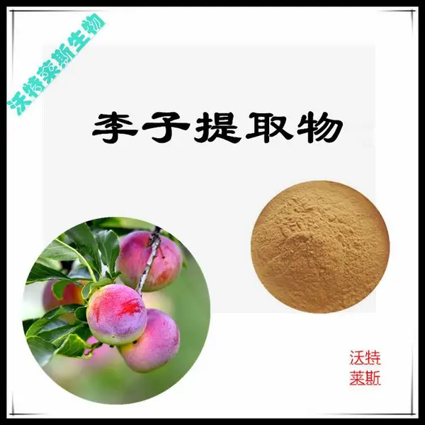 李子提取物10:1 速溶粉 食品级原料 沃特莱斯生物 棕黄色粉末