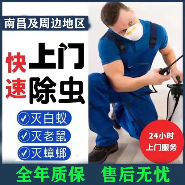 东乡白蚁***站 家庭上门除白蚁服务 专业***技术