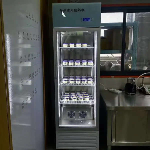 酸奶机商用圣牧奶皮子酸奶机器厂家电话