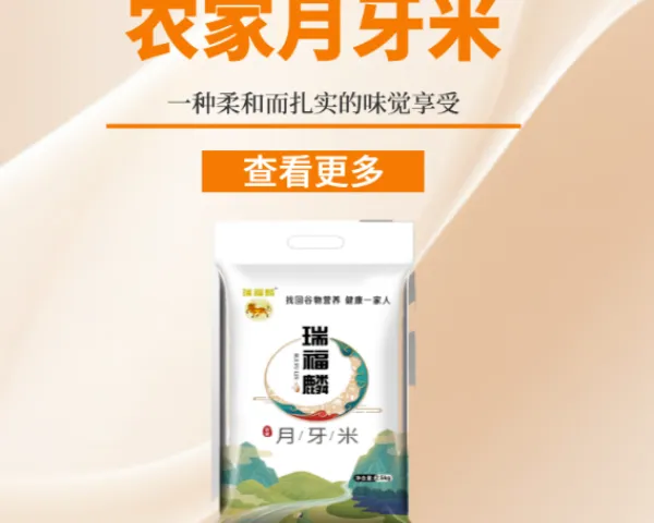 滁州健康绿色大米厂家直销 服务至上 滁州金弘安米业供应
