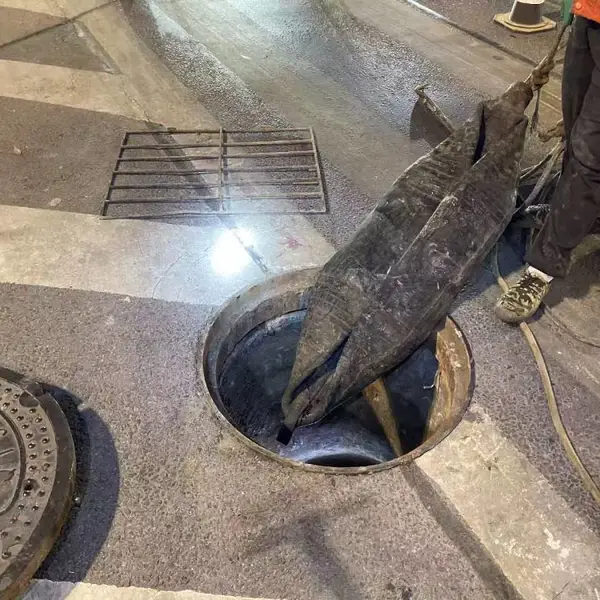 青岛地下管网治理全链条资源配套供应 技术支撑?施工派驻?设备租赁?运维托管