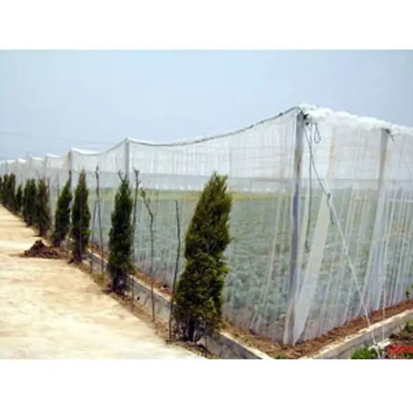 塑料网 防冰雹网农用网 防鸟网 PE网 防虫网 农用工具 温室棚 公园庭院 可应用 遮阳网