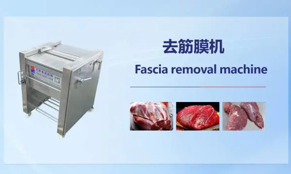 黑龙江中型切扒机功能 广州市天烨食品机械供应
