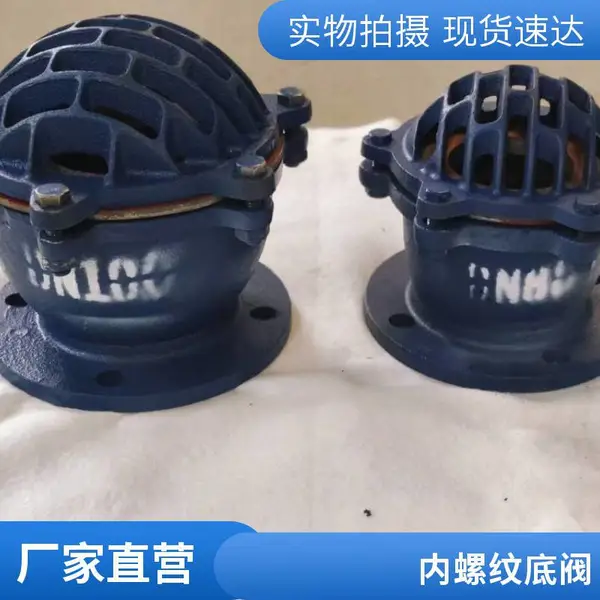不锈钢水泵底阀 DN50法兰连接 耐腐蚀防堵塞 化工泵配套底阀 支持定制