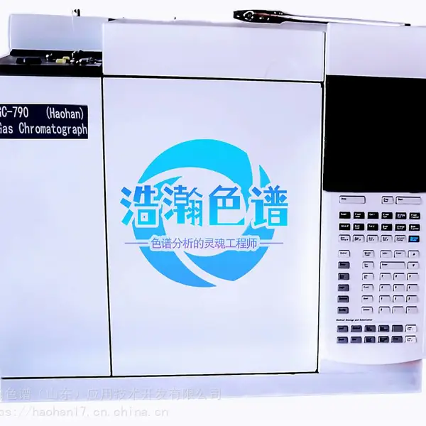 GC-顶空气相色谱测定纤维素衍生物中甲氧基和羟丙氧基含量