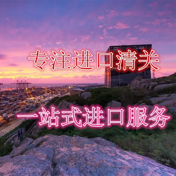 上海进口暂时进出口报关,进口暂时进出口清关服务