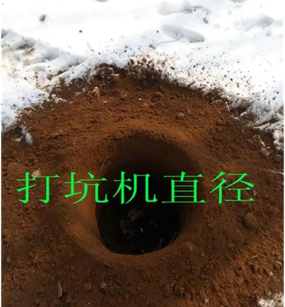 ����С���ڹ��� �ڿӻ������ֻ�