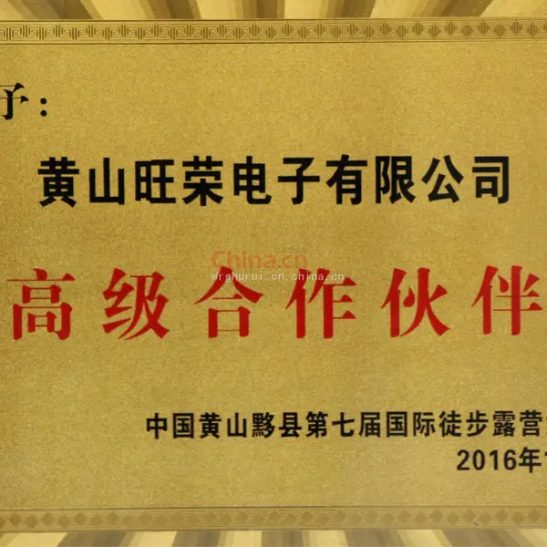 高级合作伙伴