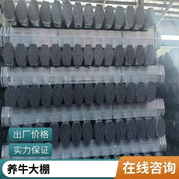蔬菜培育大棚 杨梅温室安装 骨架支架 牛头牌镀锌管