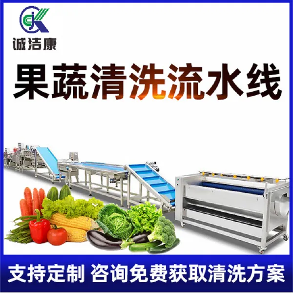 诚洁康机械 果蔬气泡清洗机 全自动高压喷淋清洗流水线 净菜加工设备