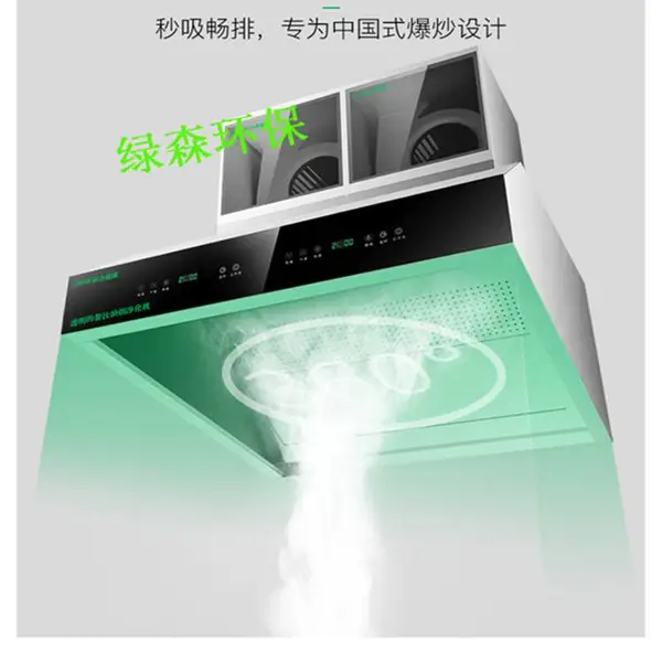 油烟净化一体机 餐饮不锈钢烟罩式油烟净化一体机 绿森油烟净化器