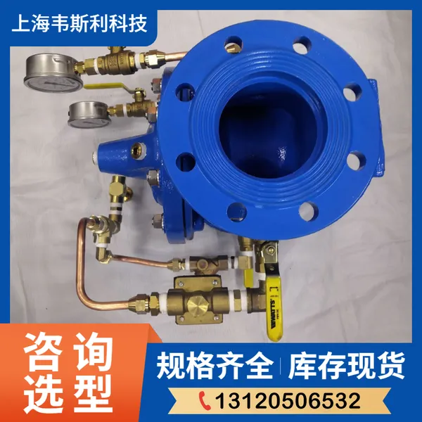 WATTS������ѹ��W-M115 DN50���и�ˮ �ִĳ�ѹ��