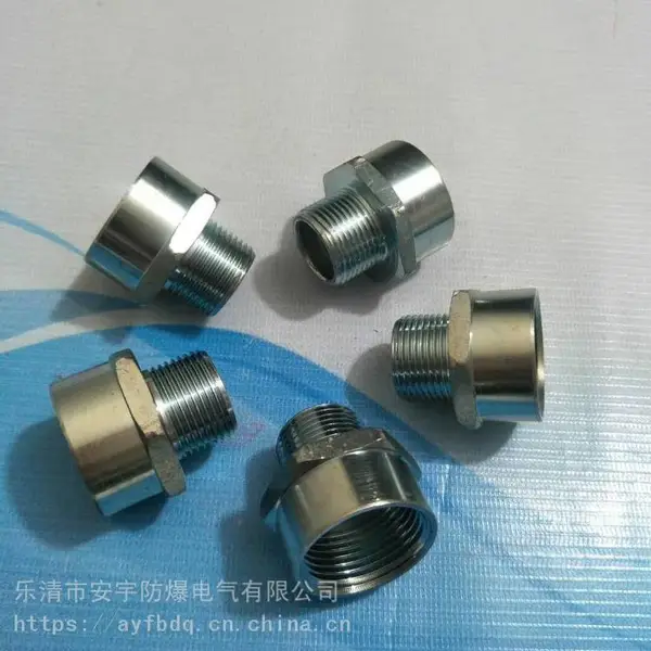 �����ܽ�ͷBGJ-G11/4˫��ExdII