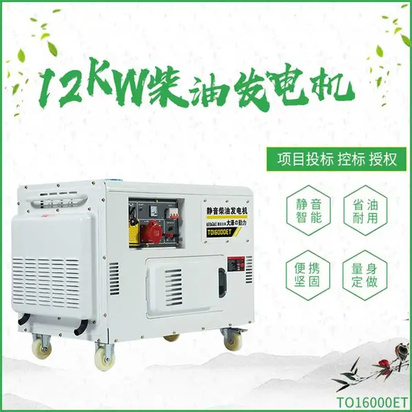 高原型12KW柴油发电机220V