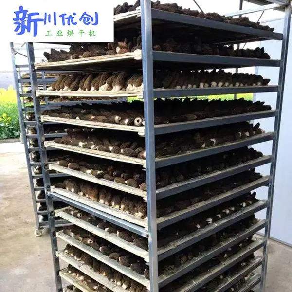 云南食用菌烘干设备 云南水果干烘房