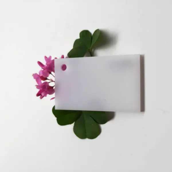 ������ɫ�ǿ�����͸���л�������ӹ����������и���5mm����