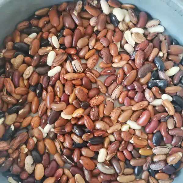 【杂芸豆价格】杂芸豆价格走势大全-廊坊稷菽粮油公司报价