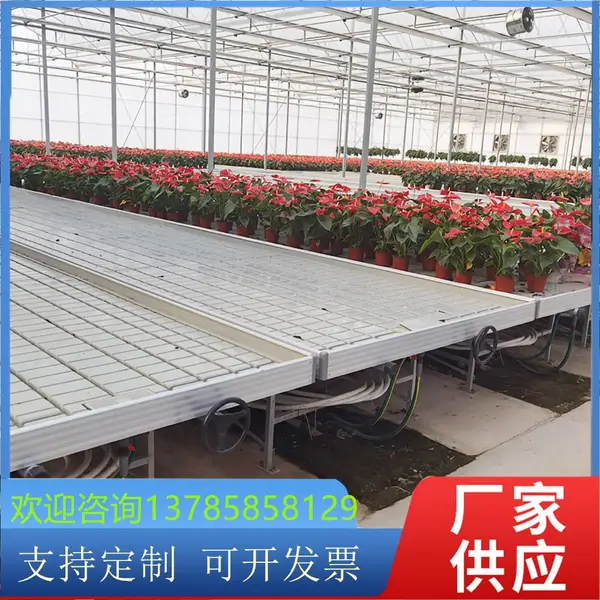 博超 供应智能温室水培种植床 潮汐苗床长度可拼接 支持定制
