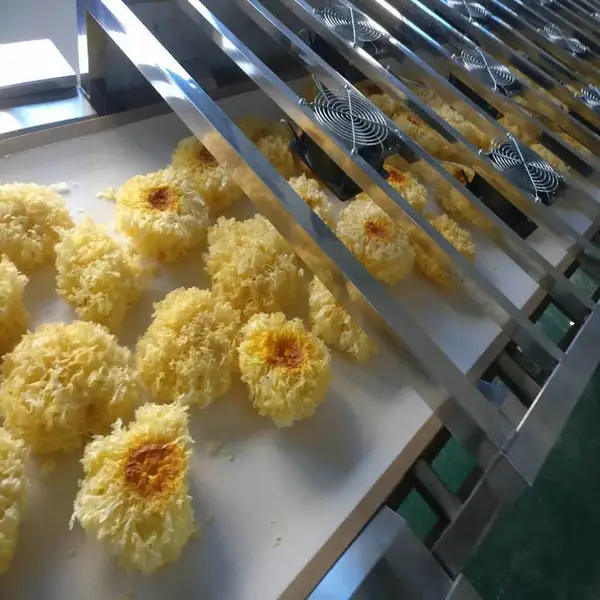 【生产定制】 小型烘干机 工业烘干机 流水线式生产