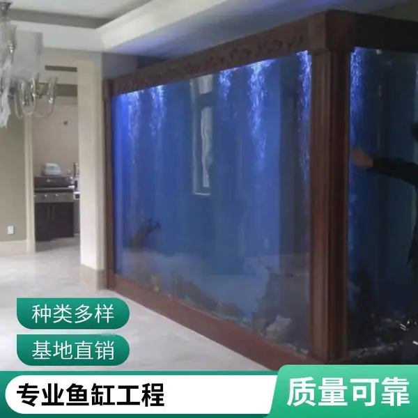 秦海水景 工厂承接 大型亚克力鱼缸定制 资质齐全 海鲜暂养