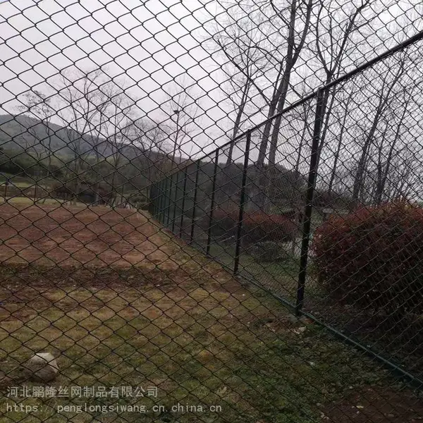 鹏隆球场围栏 羽毛球场围网 体育场勾花网