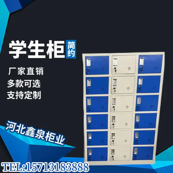 学生柜 员工宿舍上下层储物柜 铁柜 校园公寓铁皮柜