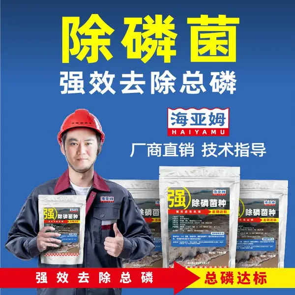 海亚姆污水处理专用除磷菌快速降解 总磷 超标 菌种 除磷菌剂 聚磷菌 专用于养殖 医院 生活废水