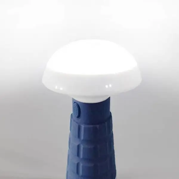 �๦�ܷ����SW2170�������ʽ�����ⷺ�⾯ʾ���Ģ��ͷ�ֳ��е�