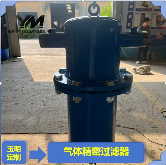 气体精密过滤器蒸汽系统除杂质气体精密过滤器