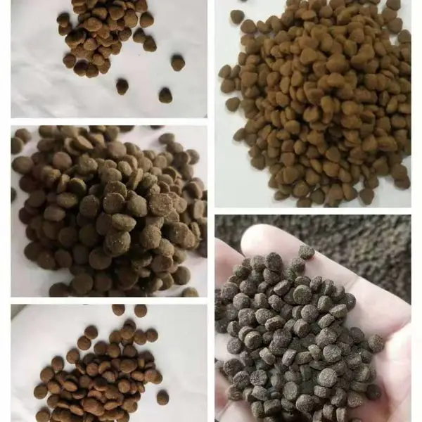 ������ʳOEM���� ��ͷ���� ���ȳ����� ���ɴ��� ����è������