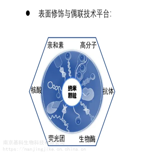基科生物提供纳米材料表面修饰与偶联技术服务