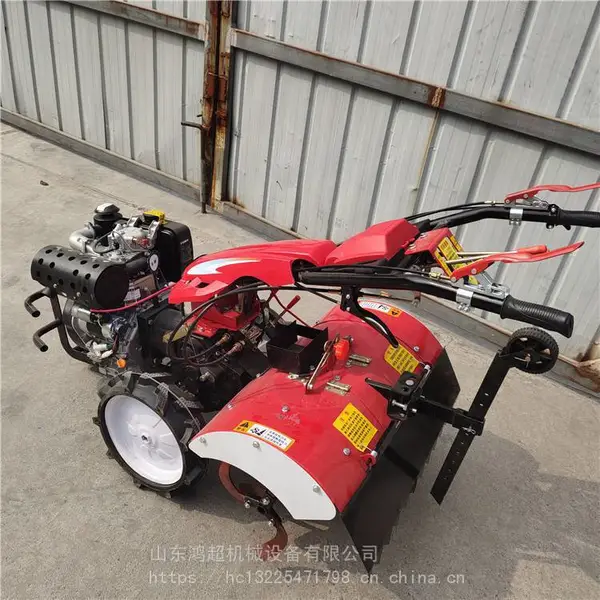 �๦���ַ����ݻ� С������΢���� ��԰����������