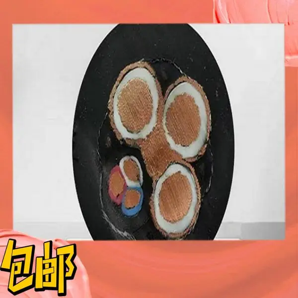 50-5ZRB-SYV22-阻燃视频线