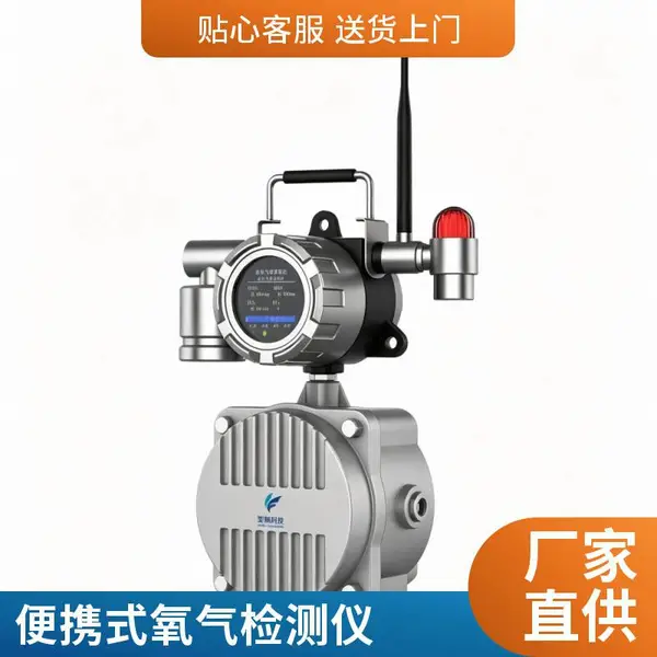 手提款氧气检测仪 便携式测氧计 工业防爆 耐腐蚀 传感器可换