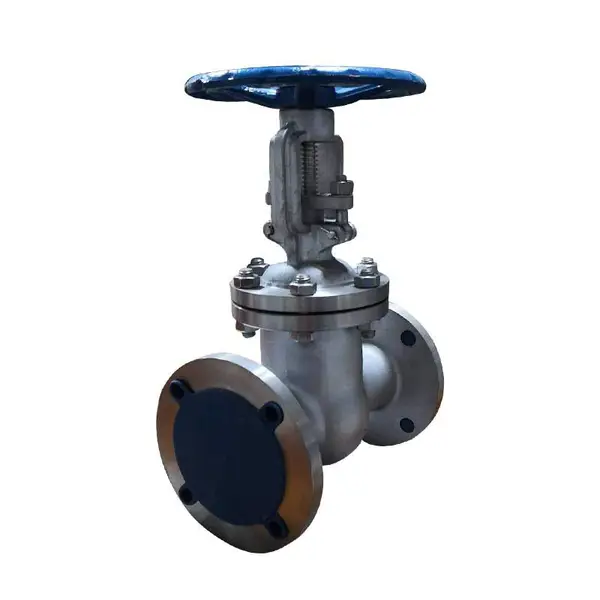 西高阀门厂 SG41H-16C水用过滤器 量大从优