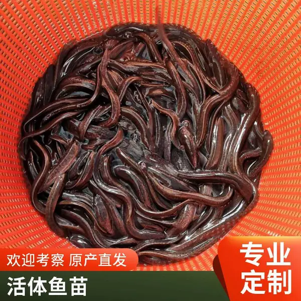 �����糧�ҹ�Ӧ �������� ˮ�������ֳ�������������