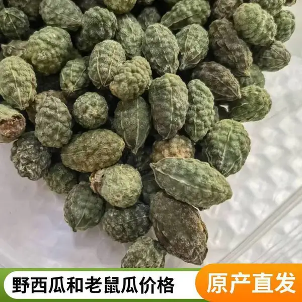 奇弘堂野西瓜.老鼠瓜野生药材地道全国包邮产地批发