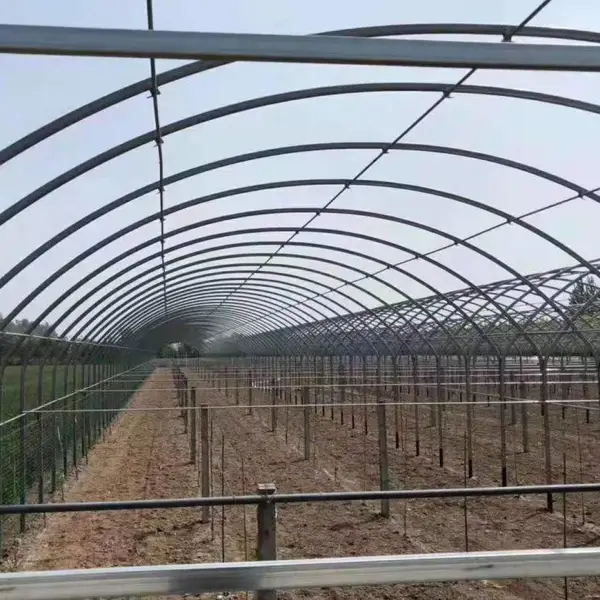 温室蔬菜大棚造价,新型温室大棚,温室大棚建造昊泰农业温室