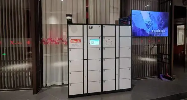 电子智能寄存柜系统开发商 欢迎咨询 广州市博西信息技术供应