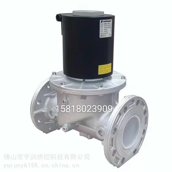 ������˹Elektrogasȼ����ŷ�VMR92-DN100