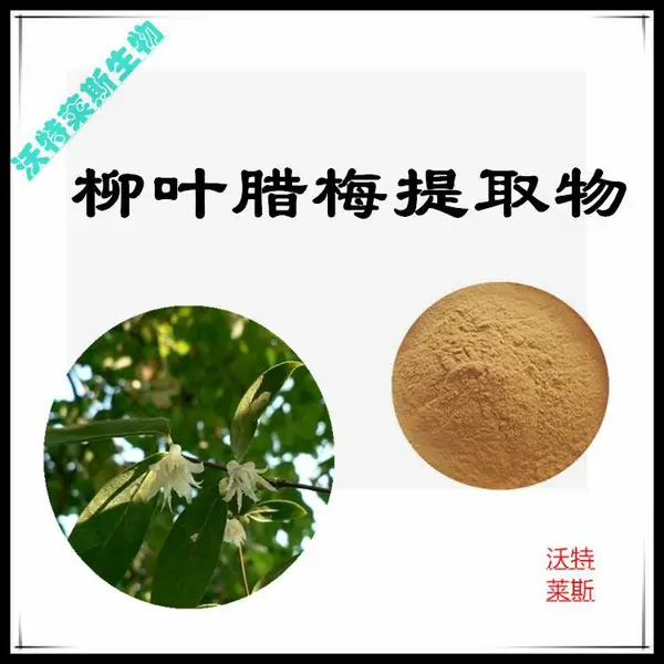 柳叶腊梅提取物10:1 速溶粉 棕黄色粉末 沃特莱斯生物 多规格可定制