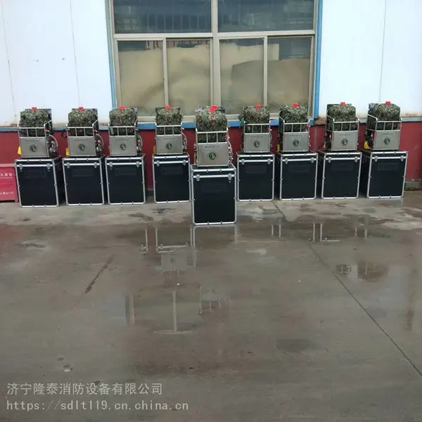 森林消防 森林草原防火背负高压细水雾灭火机 检验报告