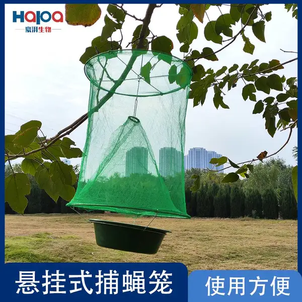 �����ҹ�����ʽ��Ӭ��������ά��ɫ֯�������̿ɷ�����Ӭ��
