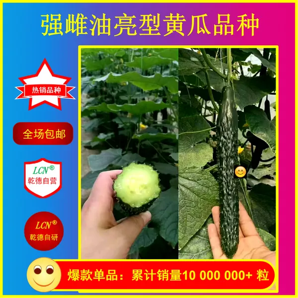 乾德777、油亮型黄瓜、农业部登记品种