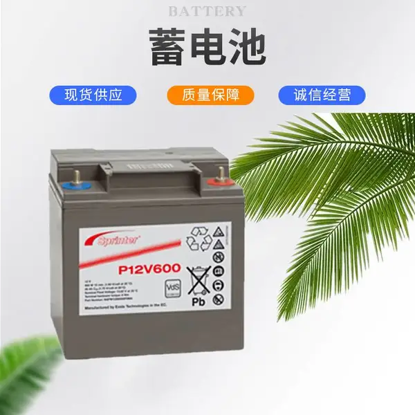 GNB美国铅酸免维护P6V1700蓄电池6V1700AH直流屏通讯系统备用电源用