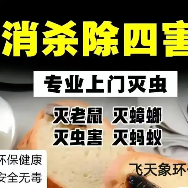 游轮 货船 除蟑螂灭蚊蝇除跳蚤灭鼠 消杀除四害 快速上门免费勘察