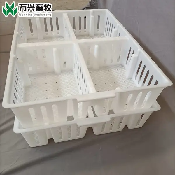 鸡苗运输筐 加固小鸡周转筐 小鸡鸡用周转筐市场