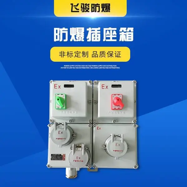防爆配电箱动力照明箱 BXX不锈钢仪表检修插座箱 控制箱可定制