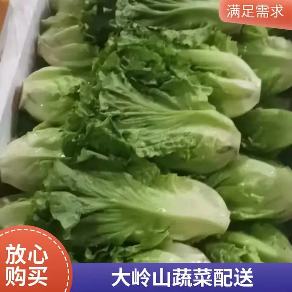 东莞食堂承包 饭堂外包一站式团餐服务蔬菜配送公司
